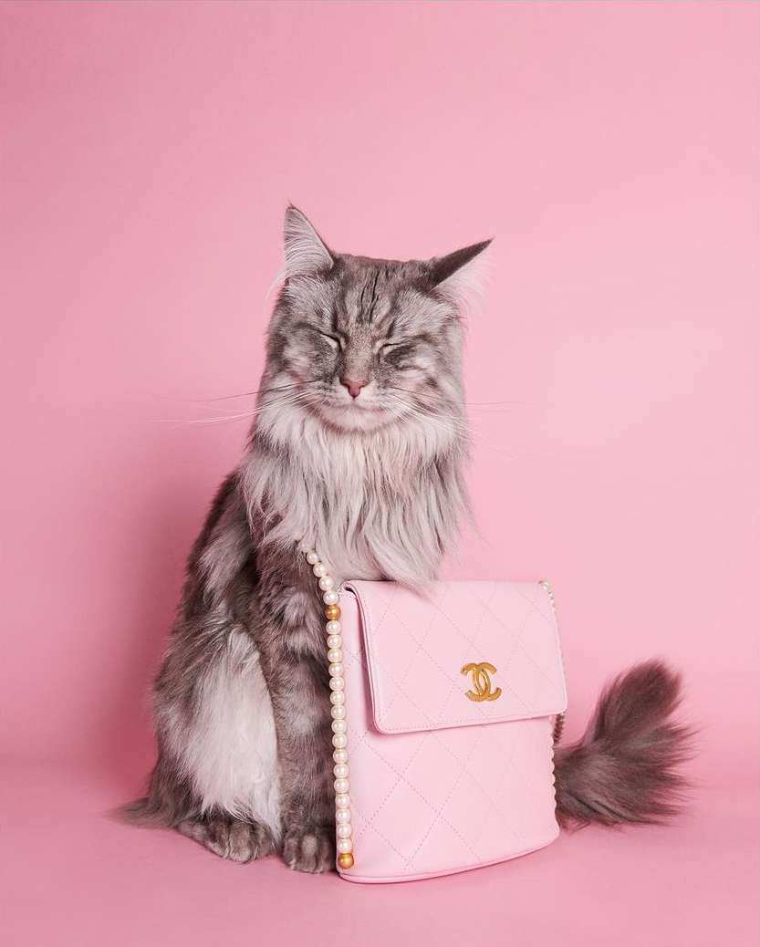 French Magazine |  Jul. 23