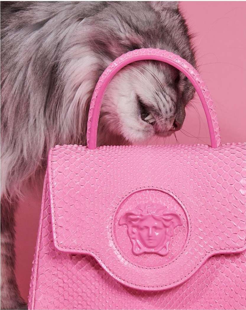 French Magazine |  Jul. 23