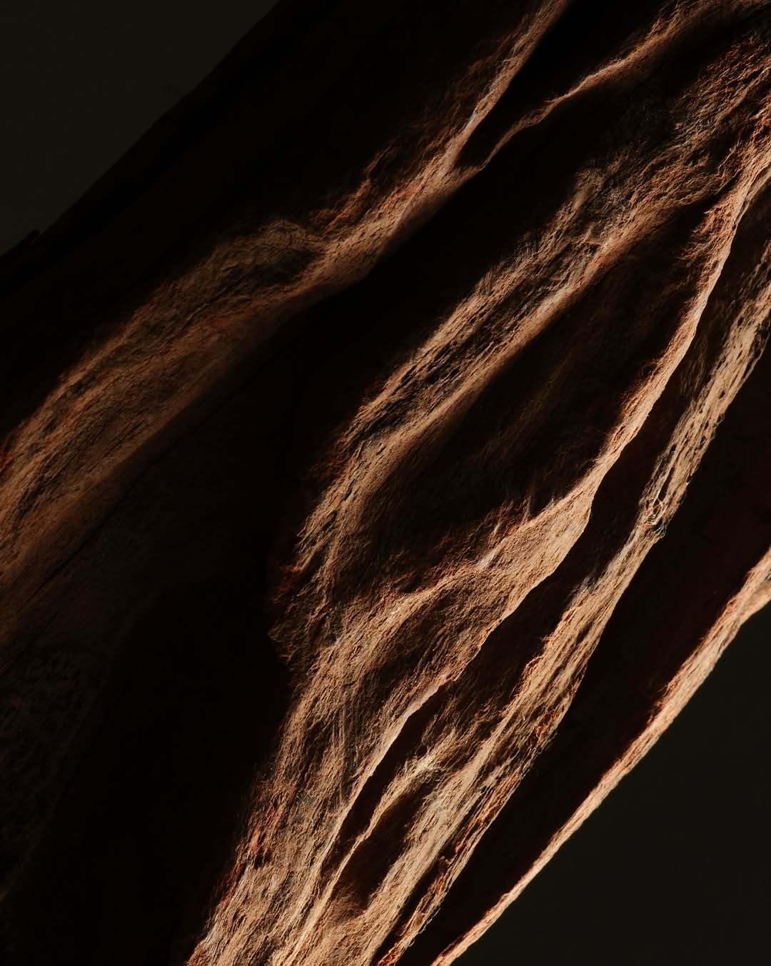 <a href="/lucie-conrad">Lucie Conrad</a> <span style="text-transform: none; white-space: nowrap;">Sep. 25</span>