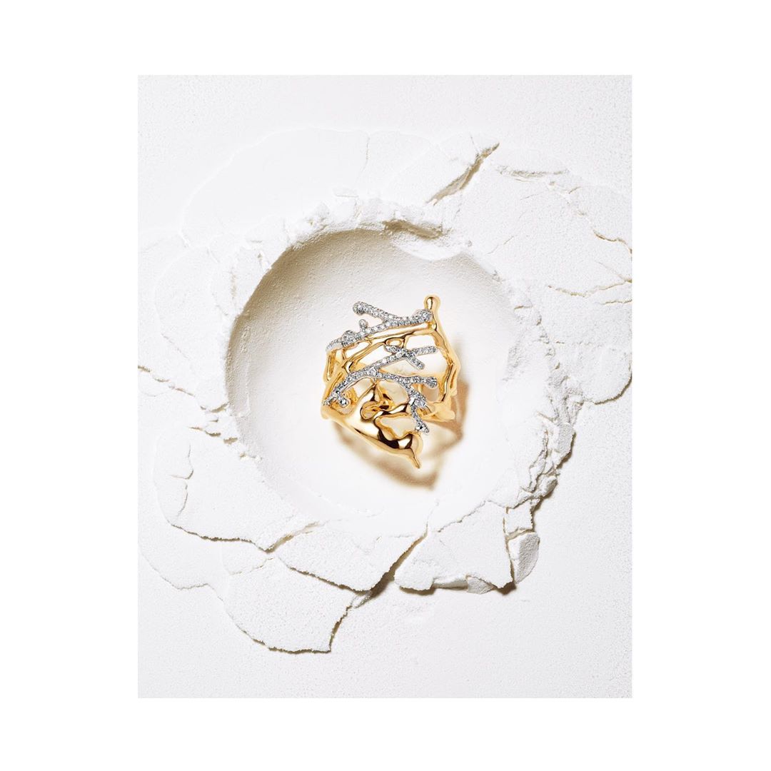 Basic Magazine |  Nov. 19