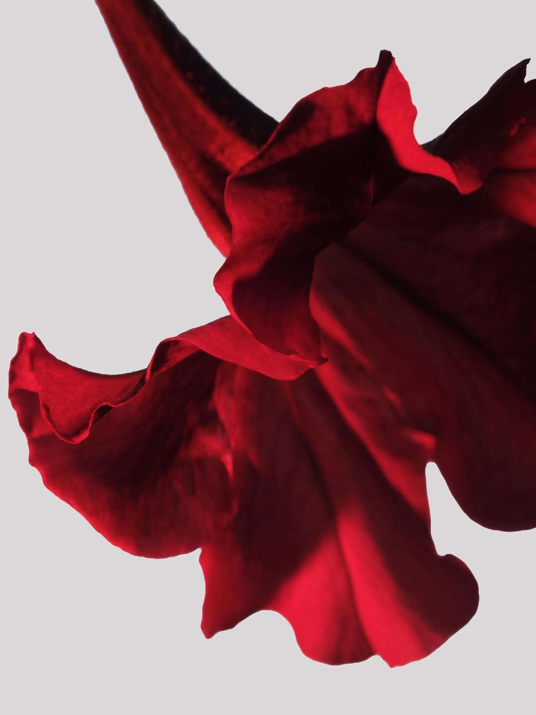 BYREDO |  Jun. 26