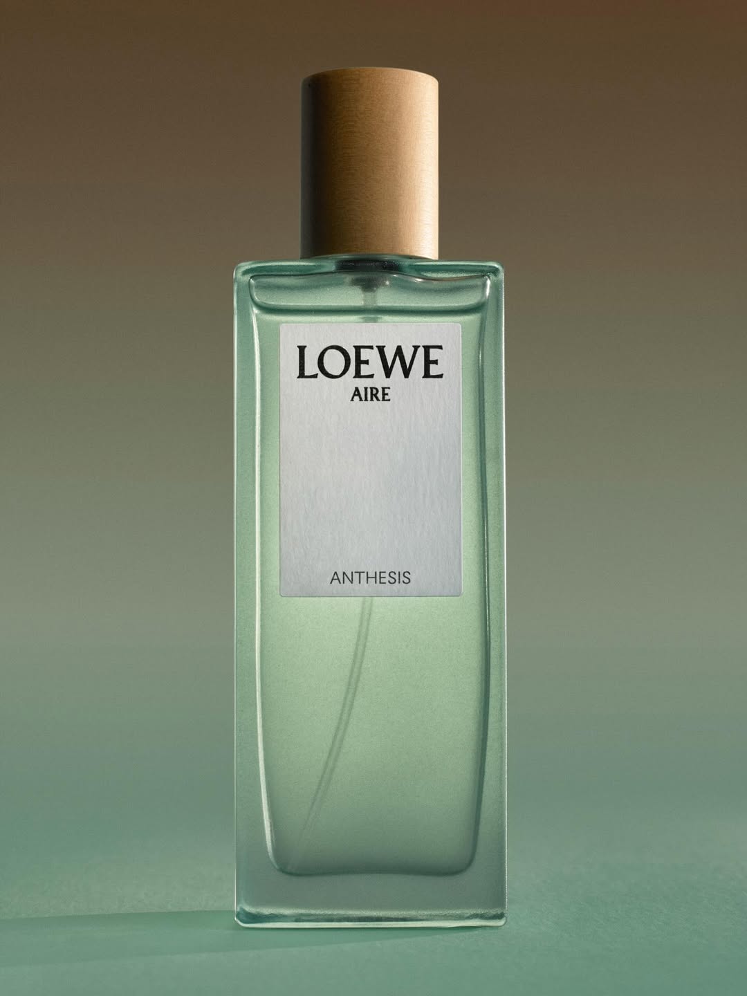 MONDAY REPORT NE 12/01/25