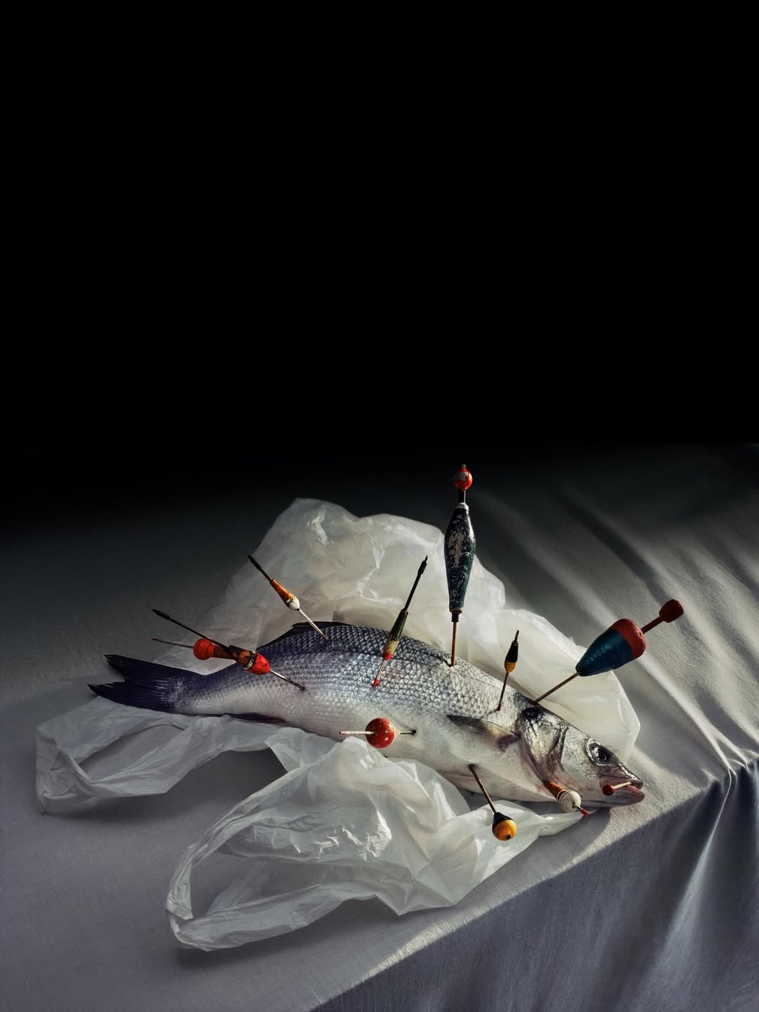 FUN FOOD NE 03/20/26