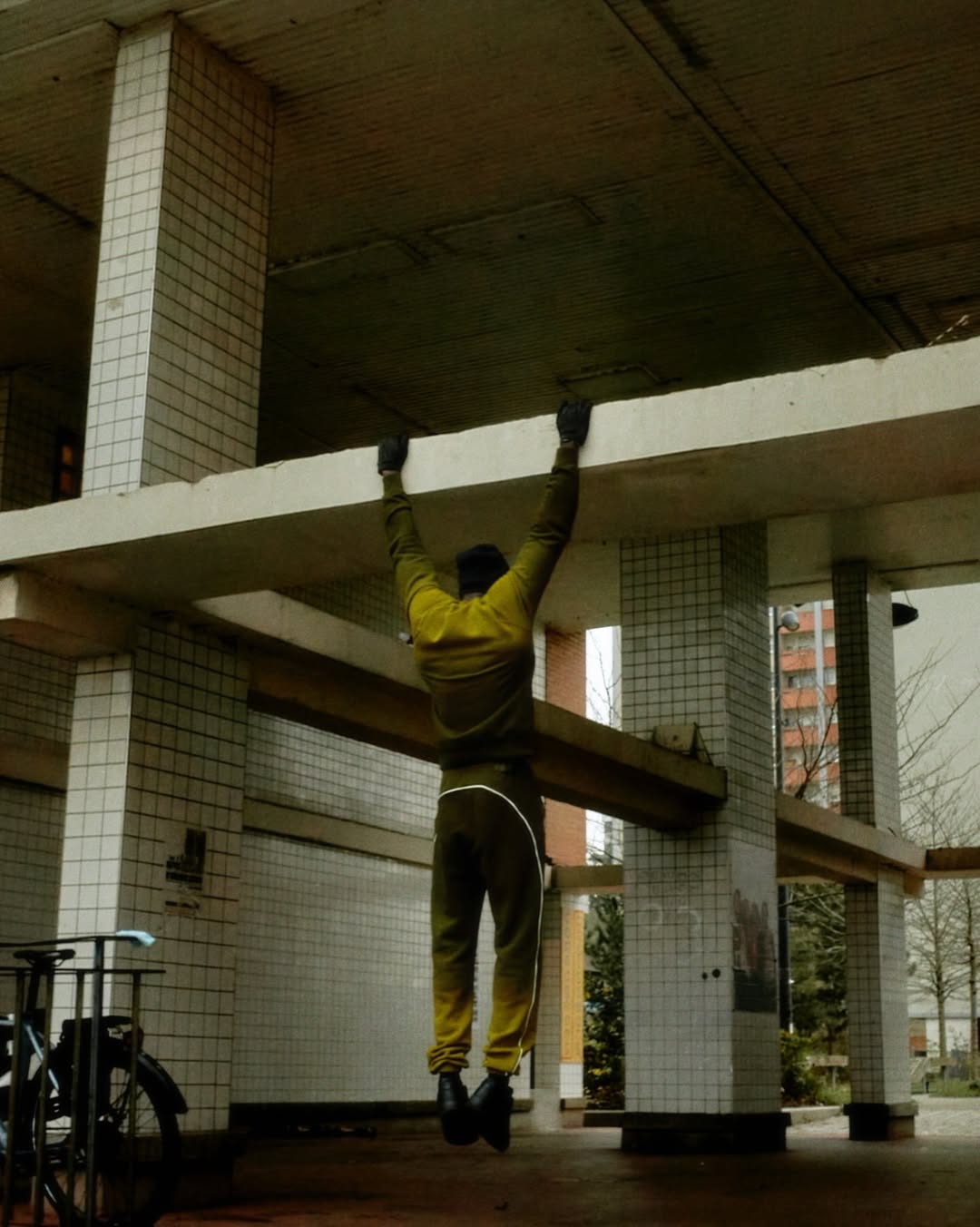 The latest Cardinal Stock collection featuring NOC...