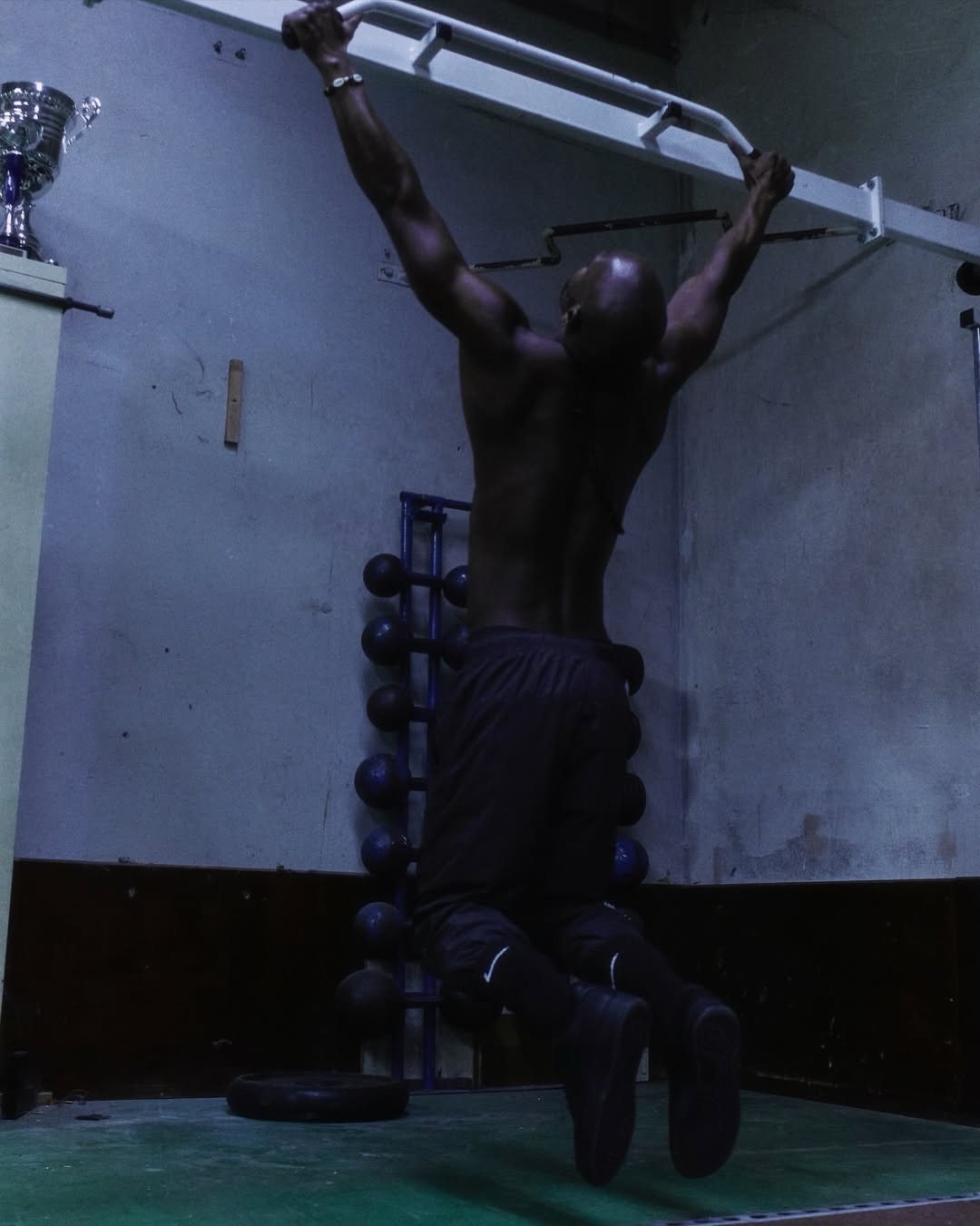 The latest Cardinal Stock collection featuring NOC...