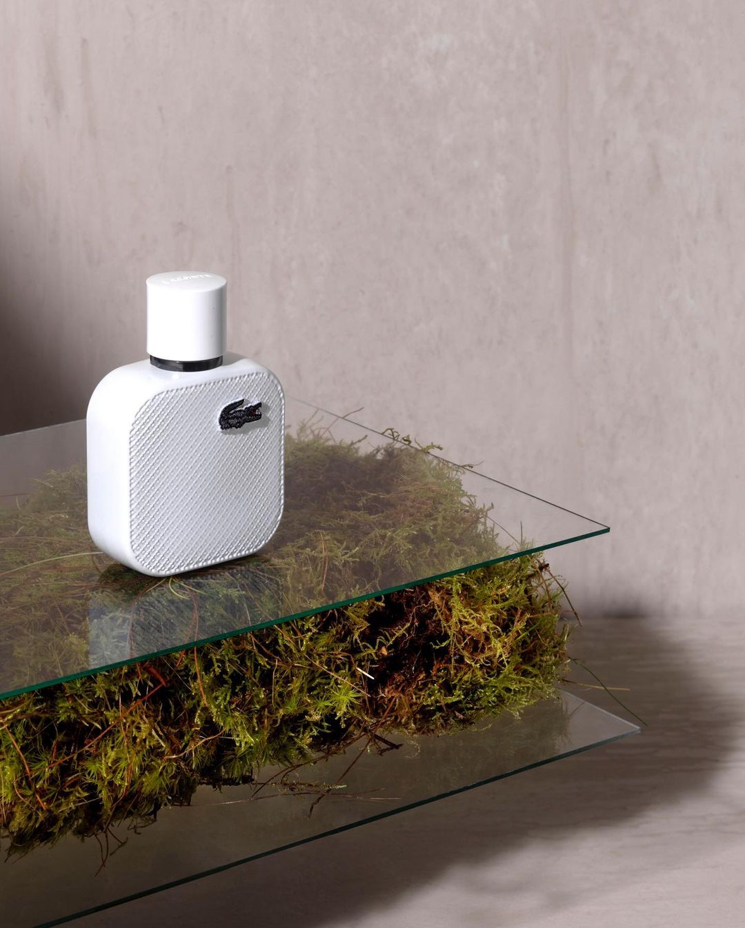 Wonderland |  Jul. 21