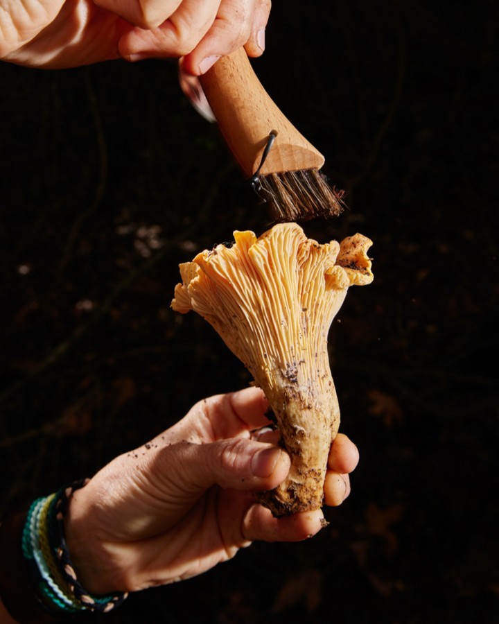 The Guardian |  Mar. 23