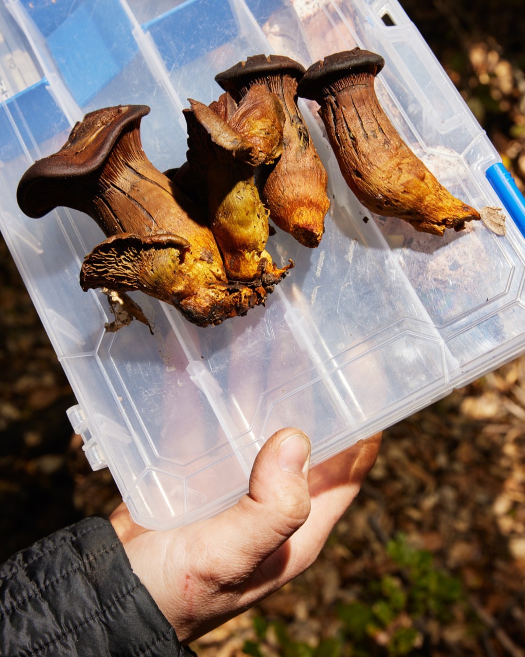 The Guardian |  Mar. 23