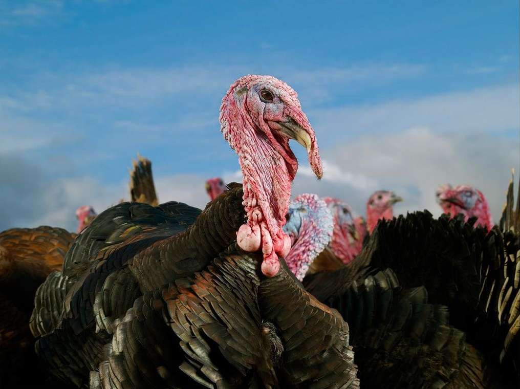 Financial Times |  Apr. 21