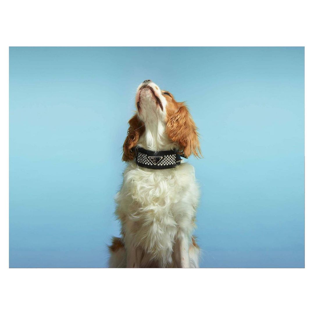 The Telegraph Magazine |  Nov. 22