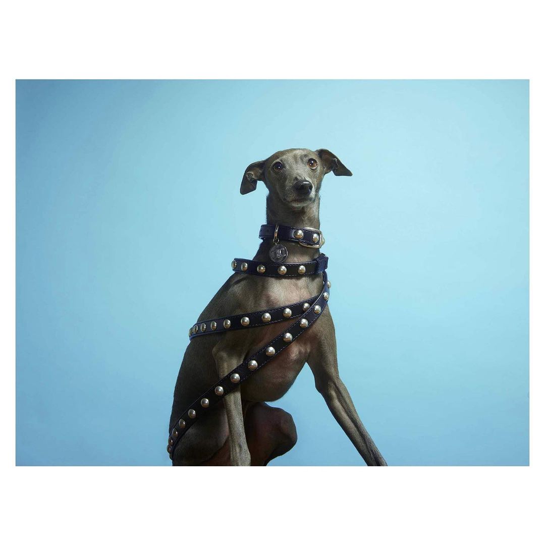 The Telegraph Magazine |  Nov. 22