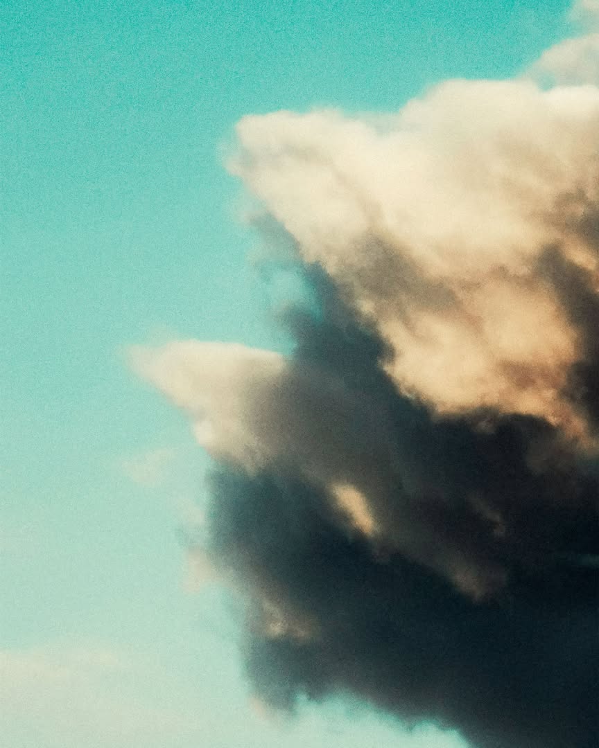 Miro Lovejoy Teplitzky Oct. 25