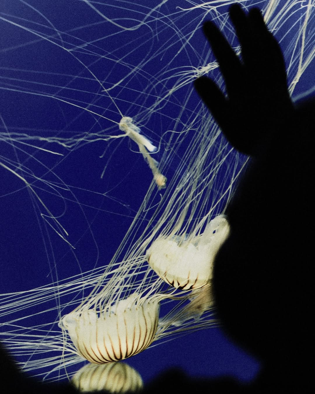 Daniel Benson Nov. 25