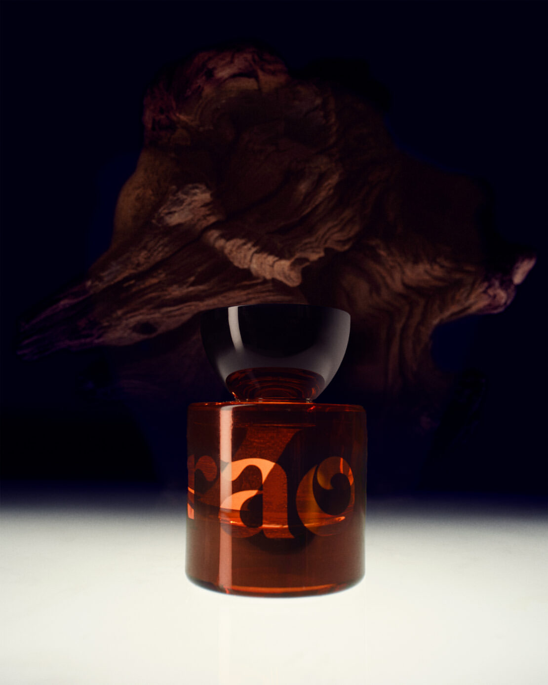 MONDAY REPORT NE 01/19/26