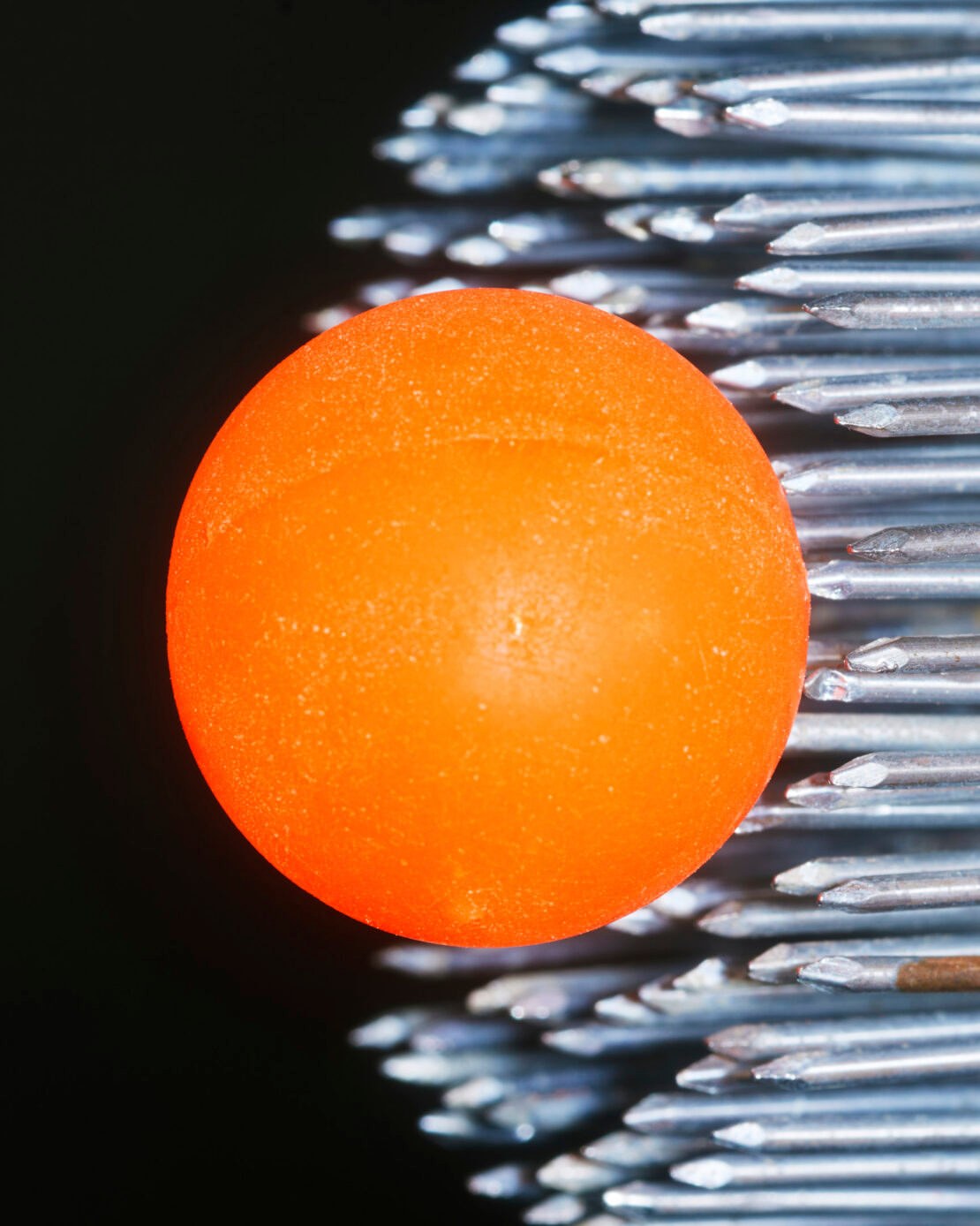 Karolina Burli Mar. 26