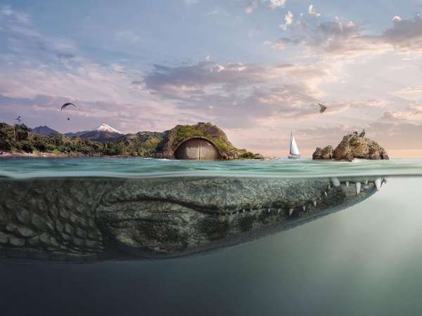 Manipula