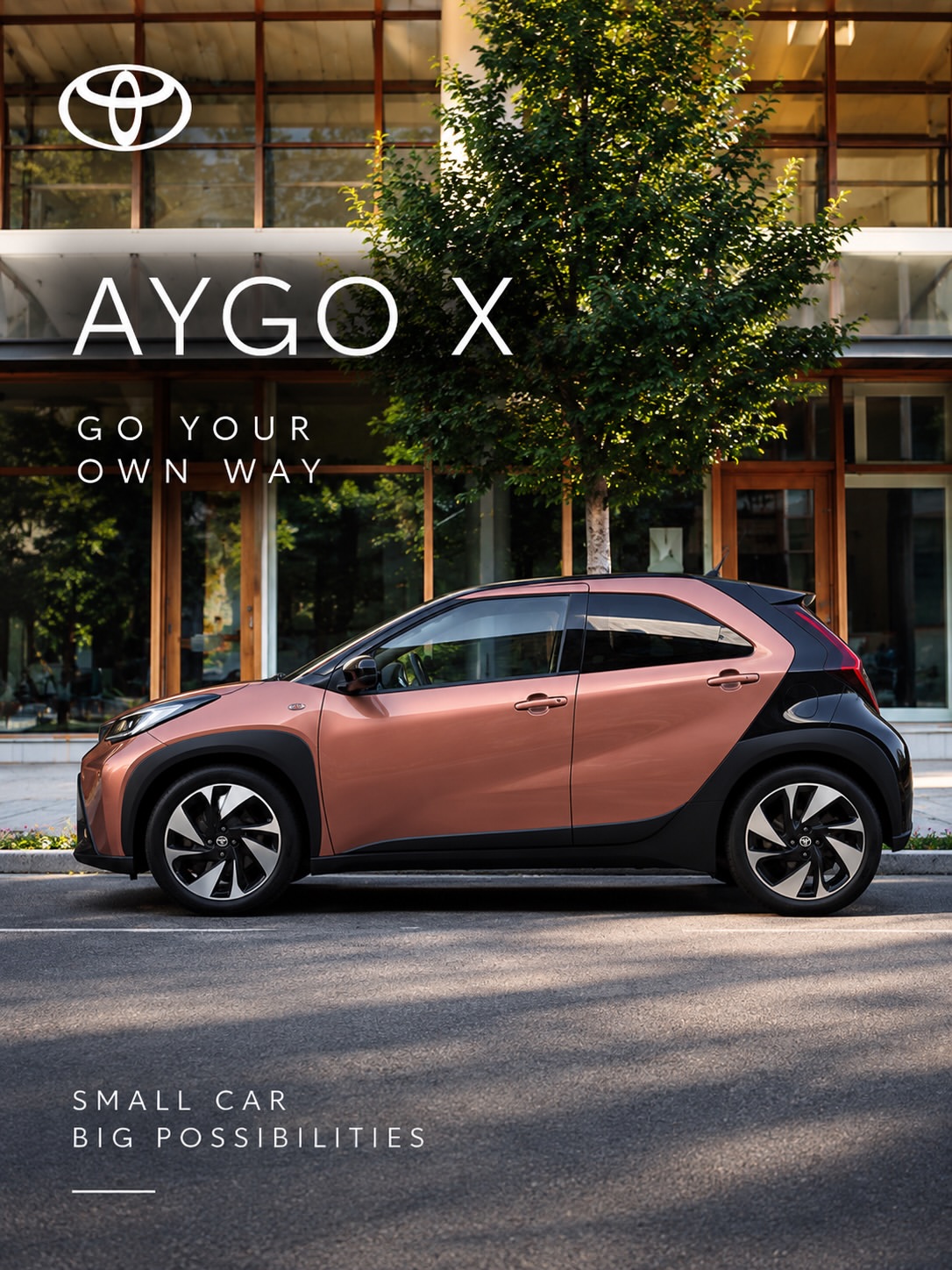 Marc and David X TOYOTA