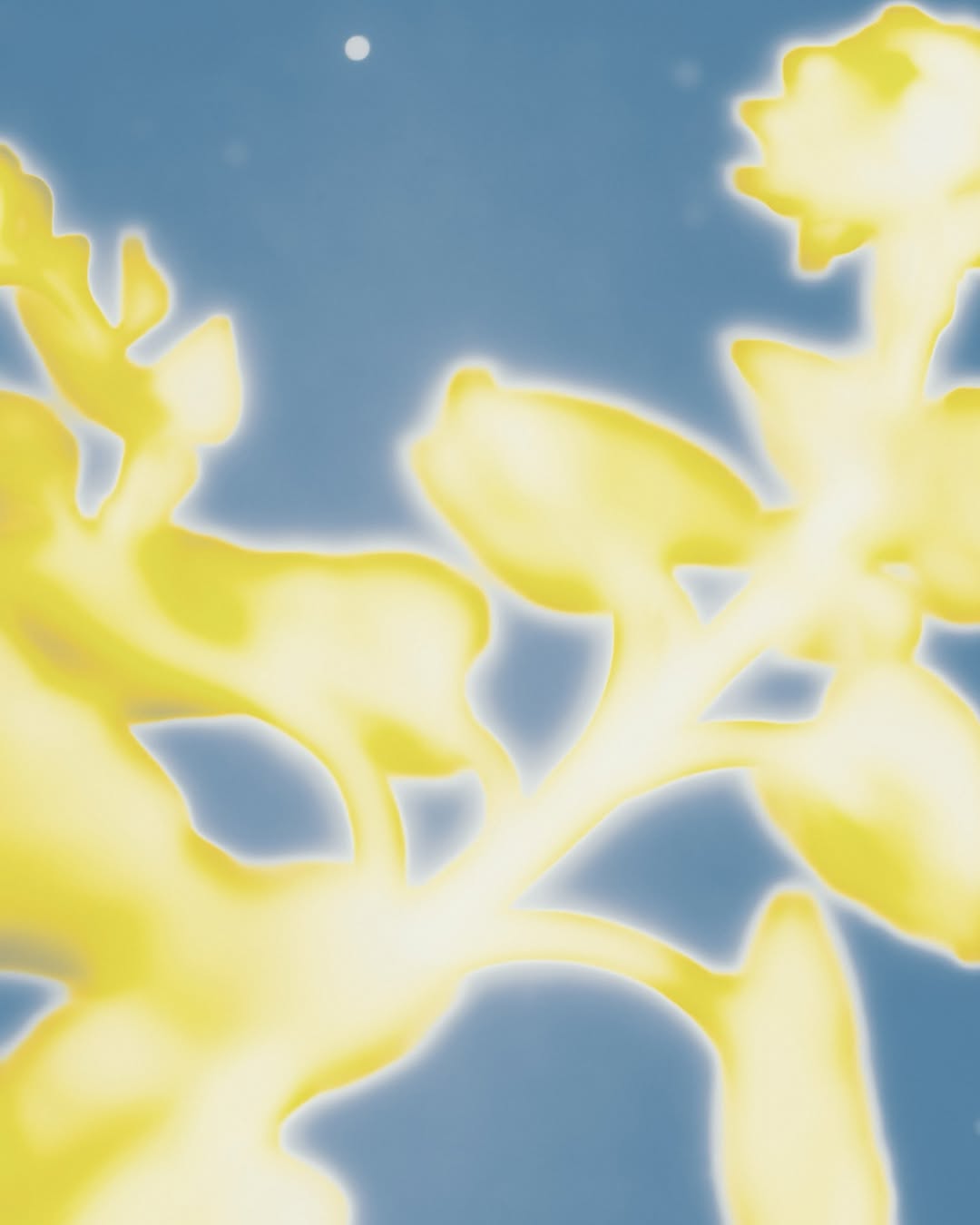  Mar. 26