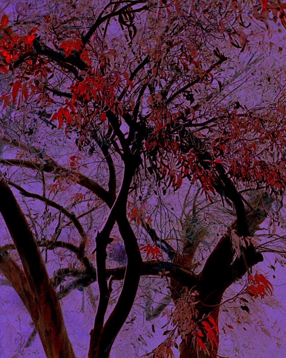 galeria Carlos Carvalho |  Nov. 22