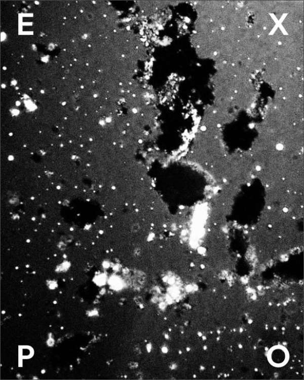 Marguerite Bornhauser