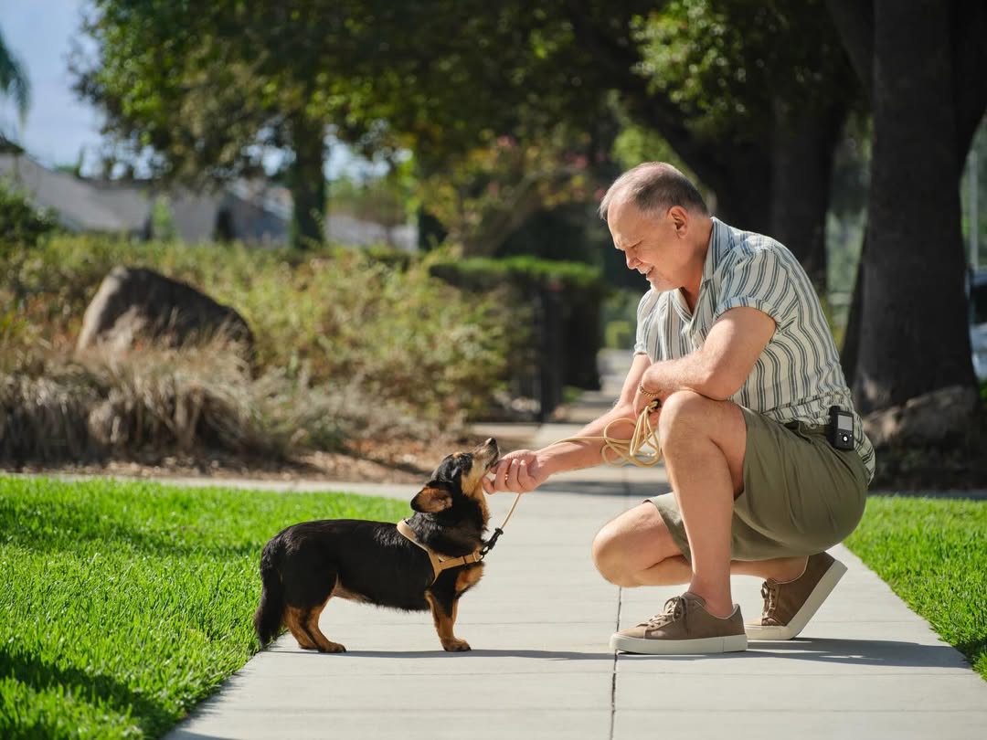 Mari Juliano X Medtronic