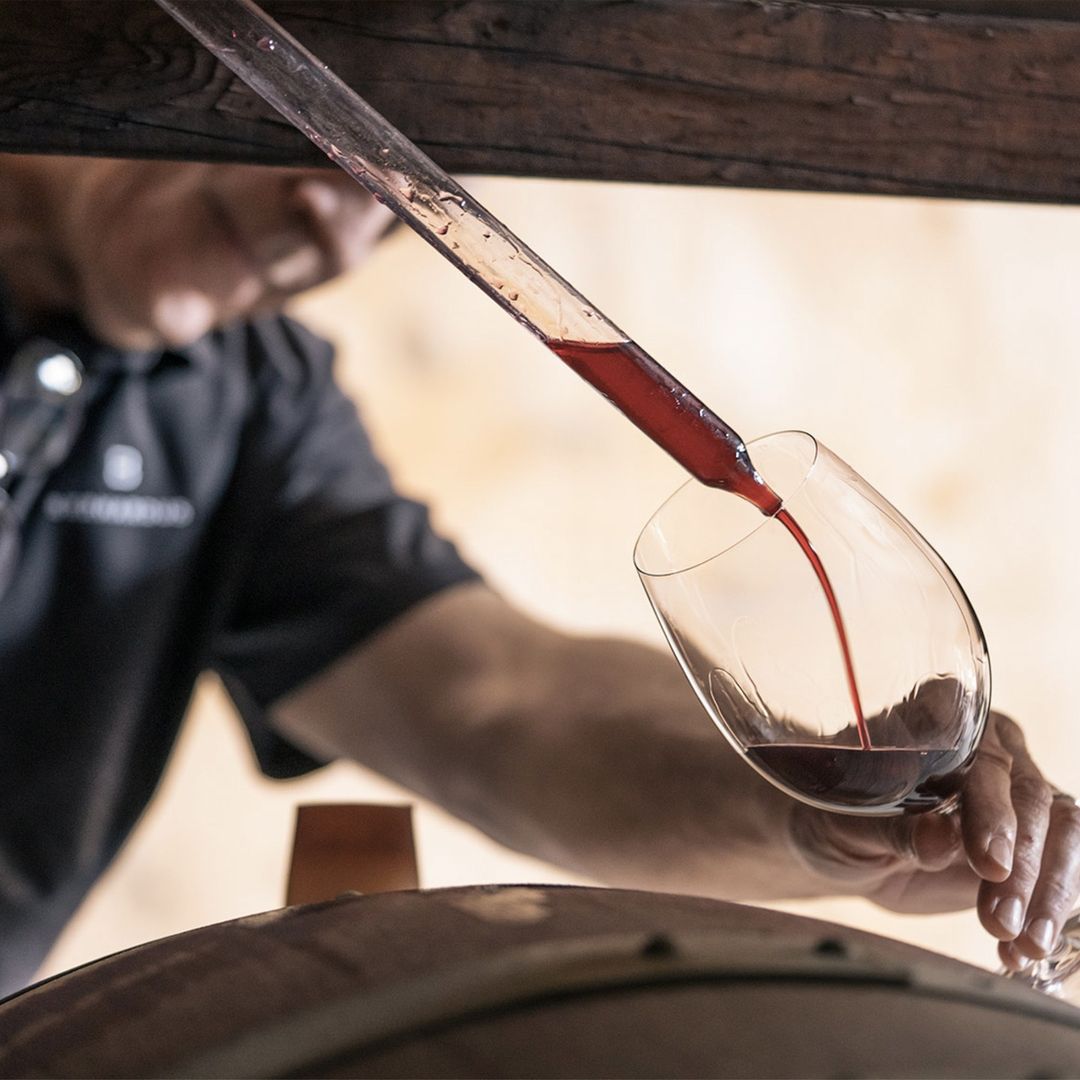 Bernardus Winery |  May. 22