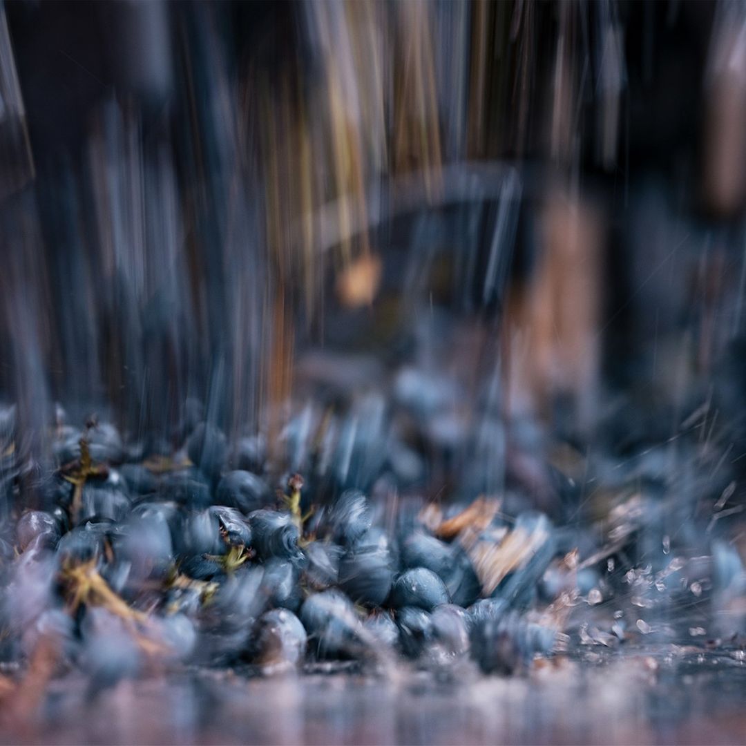 Bernardus Winery |  May. 22