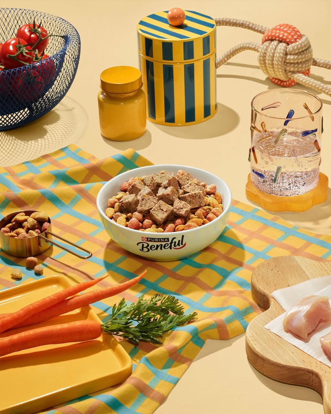 Annabelle Breakey X Purina