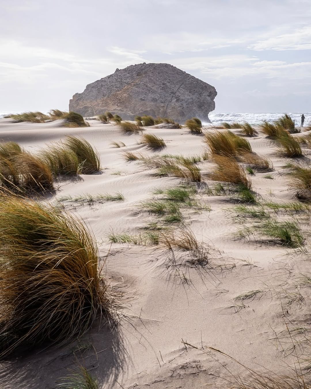 Matthew Turley