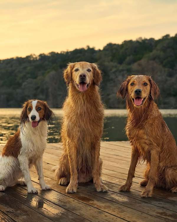Randal Ford