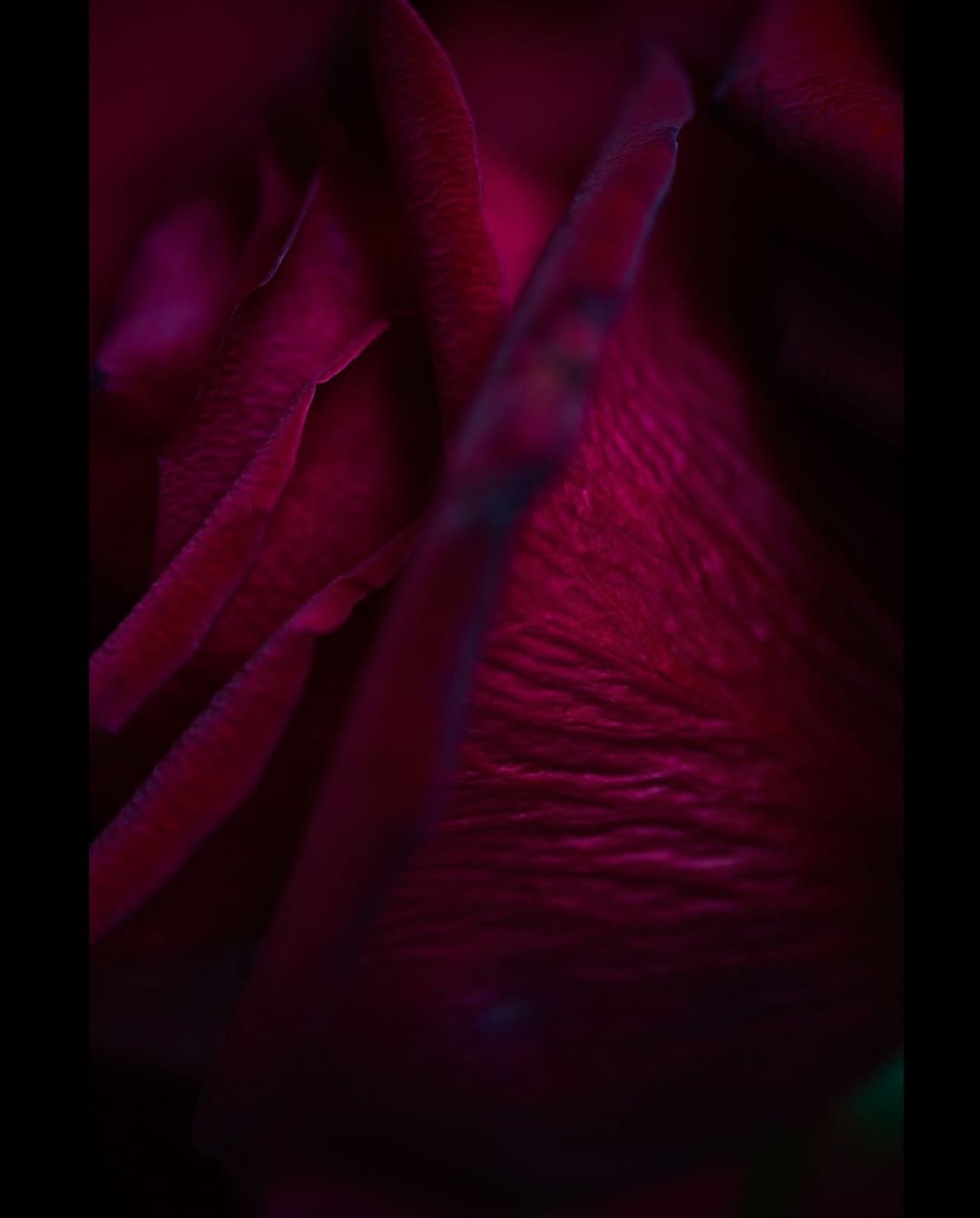 Mariano Vivanco X CLOSE Gallery Feb. 26