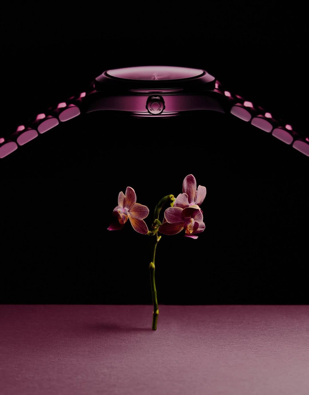 Mario Simon-Lafleur X SILHOUETTE