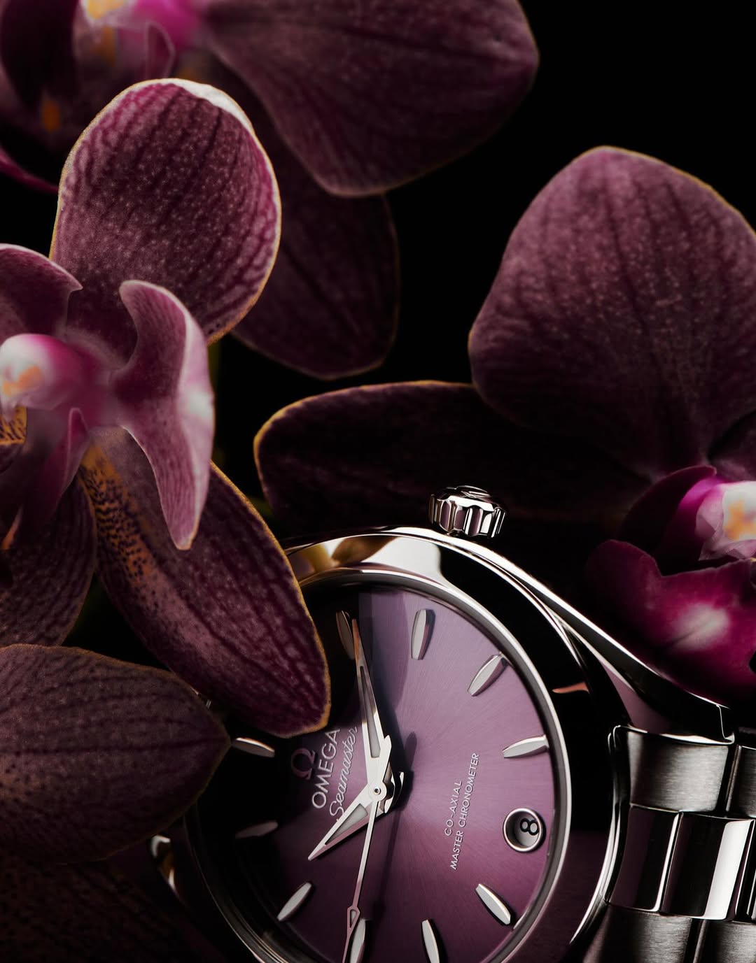 Mario Simon-Lafleur X SILHOUETTE