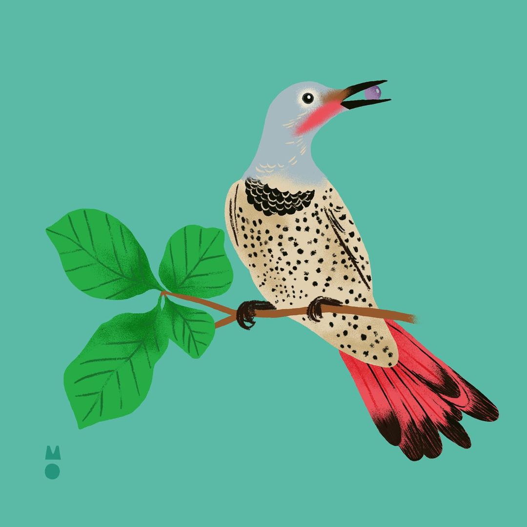 The High Line |  Sep. 23