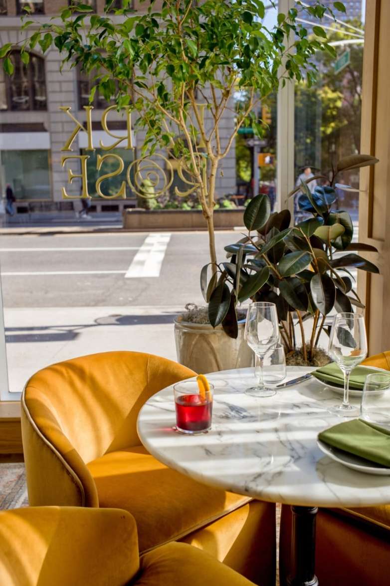 Marcus Lloyd X Park Rose NYC