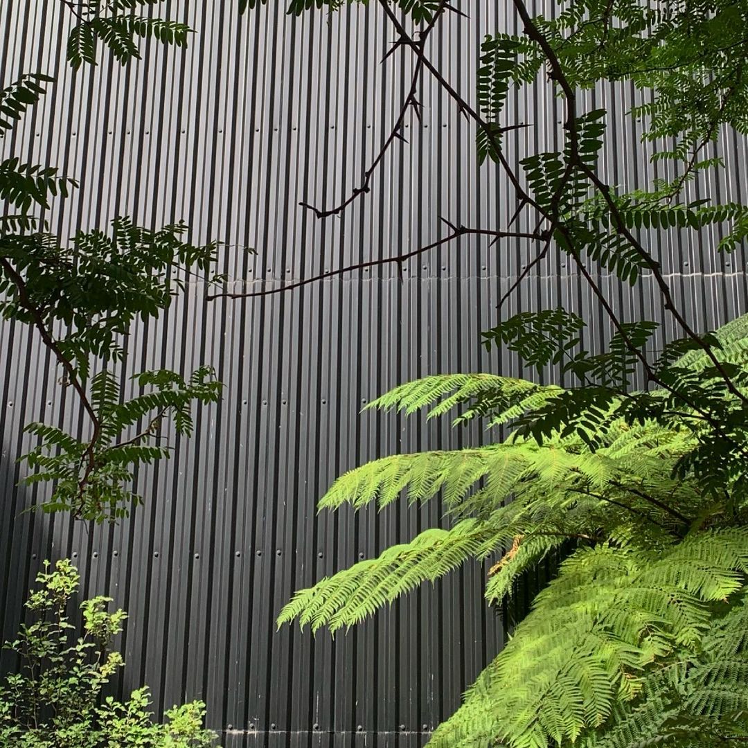 Ulla Johnson |  Jun. 21