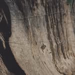 Martina Hoogland Ivanow