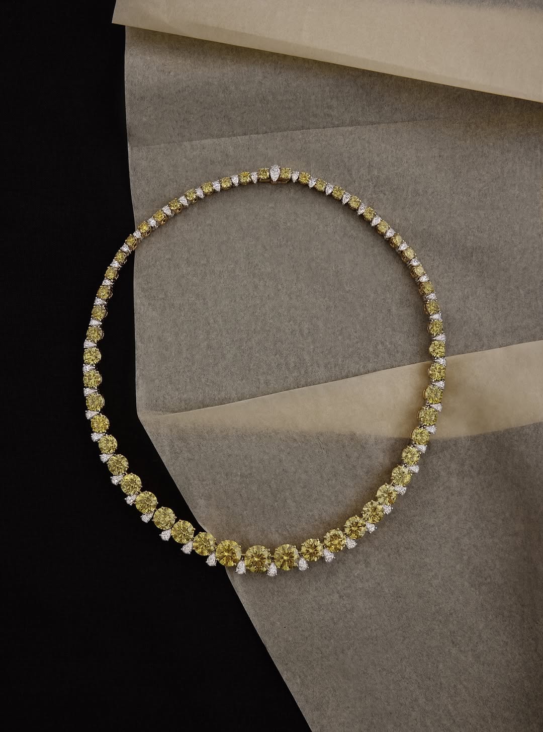 Plusia Roms X Vanity Fair Oct. 25