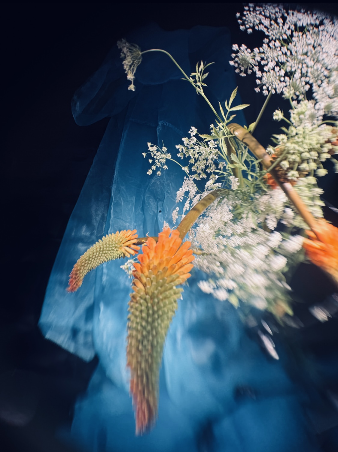 David Hughes Jan. 26