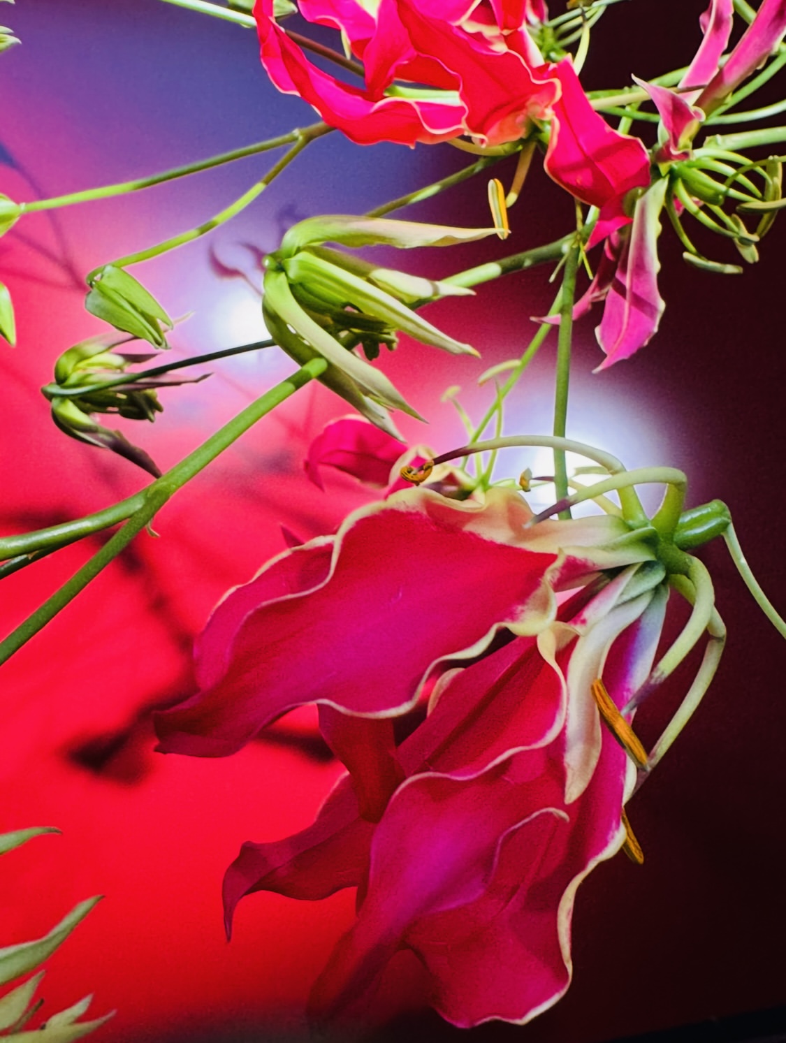 David Hughes Jan. 26