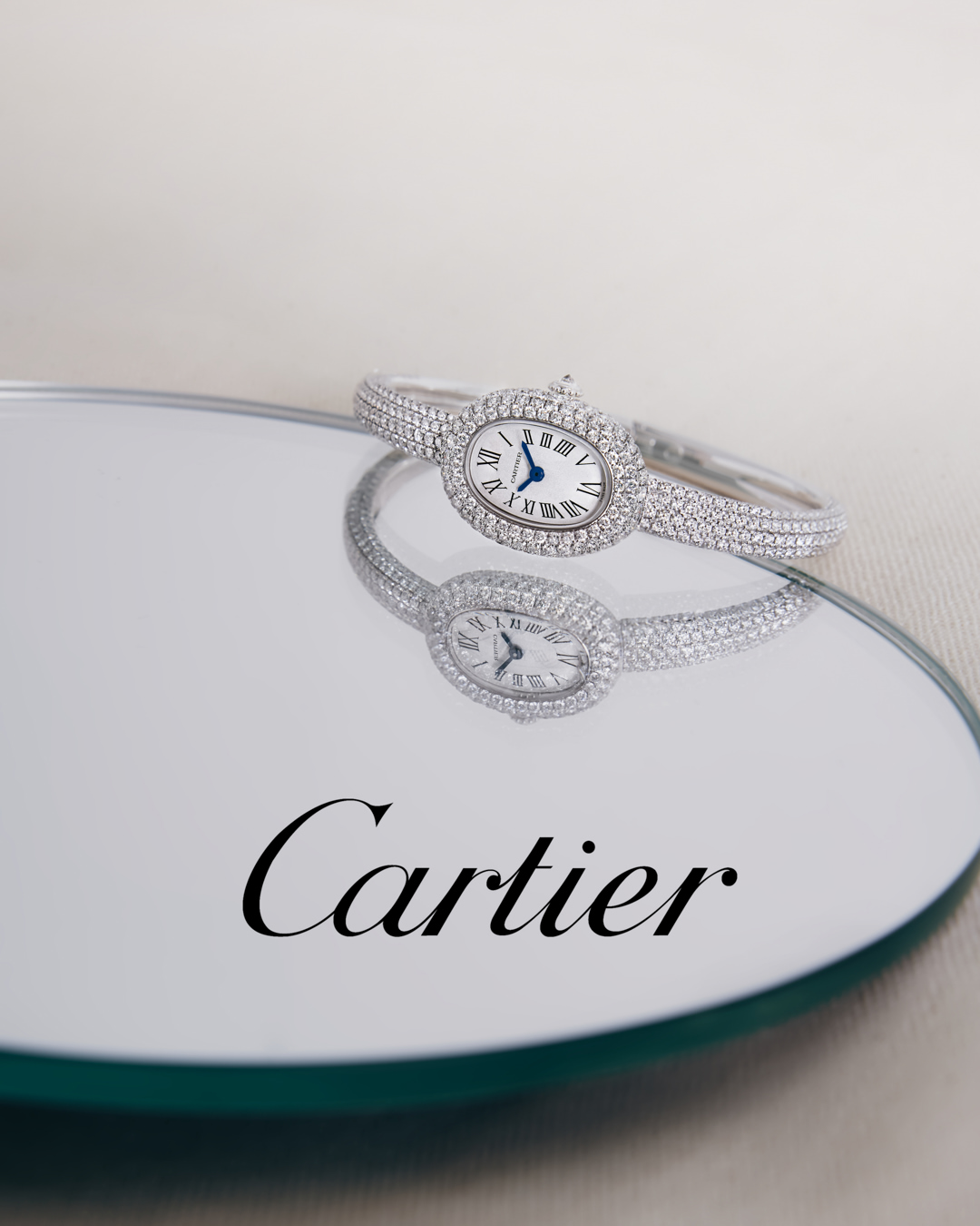 Plusia Roms X Cartier