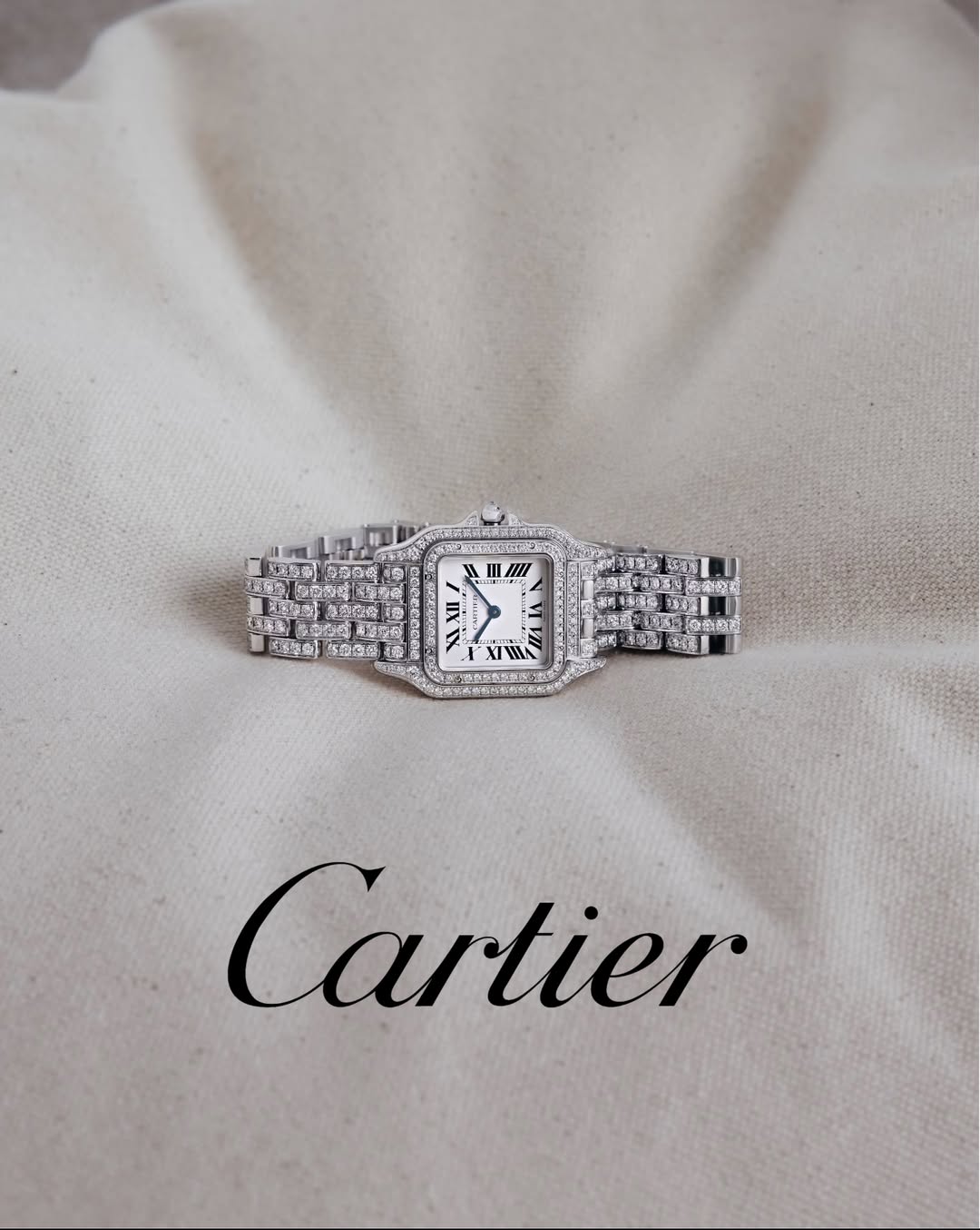 Plusia Roms X Cartier