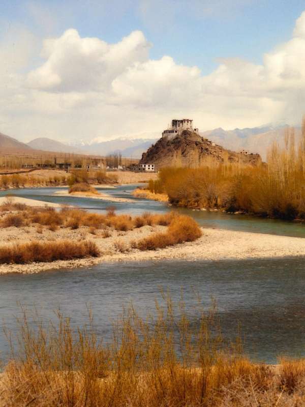 Mathieu Richer Mamousse