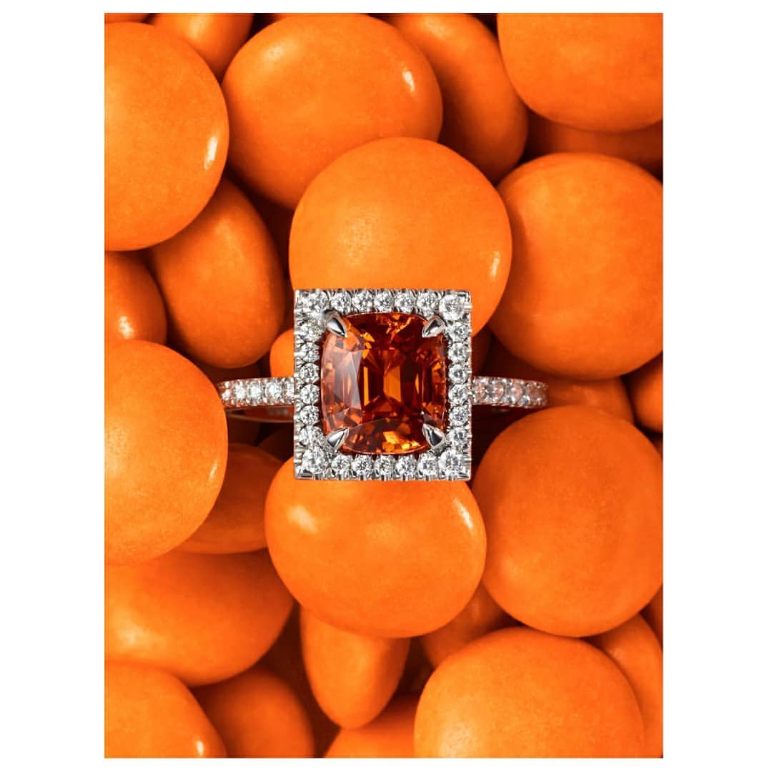 Country & Town House |  Oct. 21