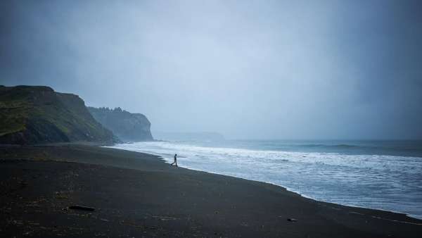 Matthew Turley