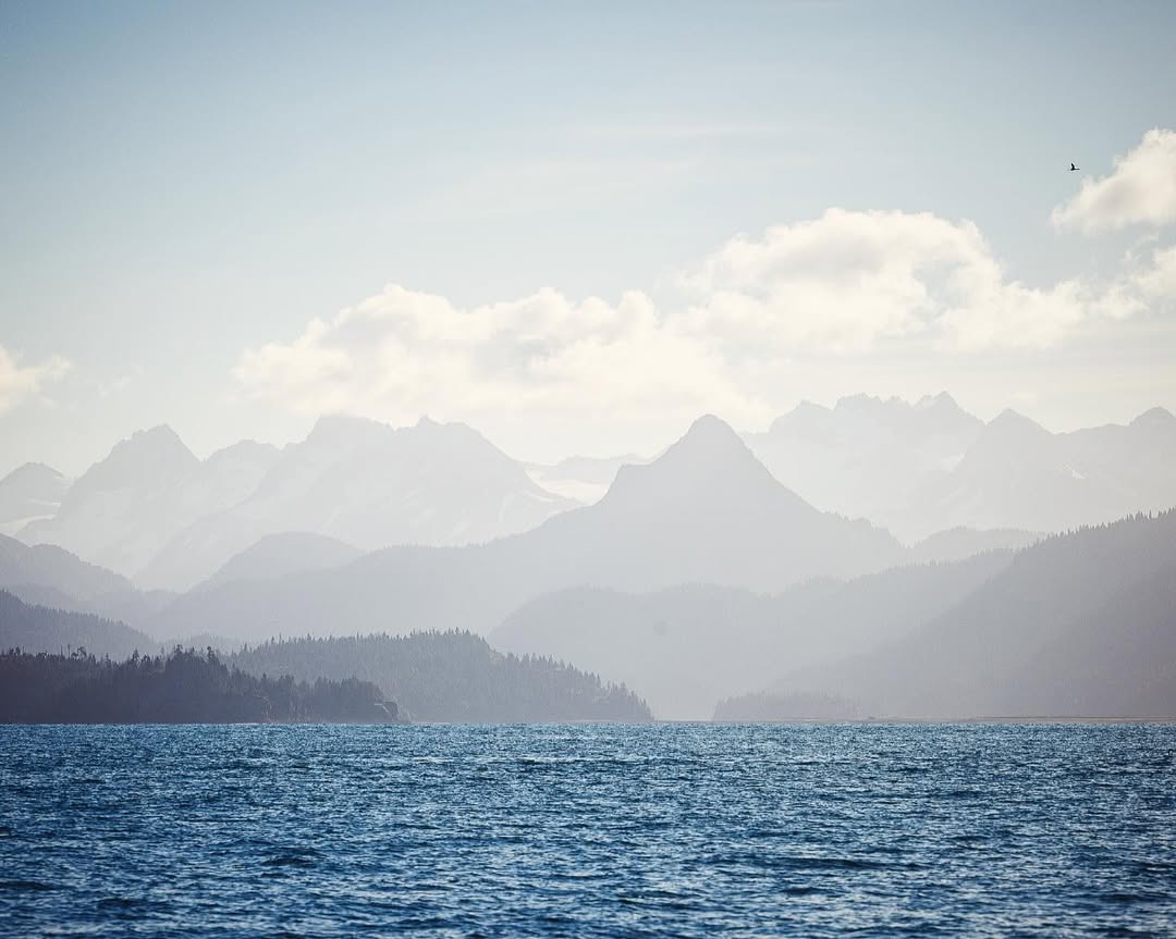 <a href="/matthew-turley">Matthew Turley</a> <span style="text-transform: none; white-space: nowrap;">Oct. 25</span>