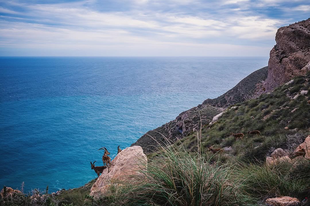 Matthew Turley Mar. 26