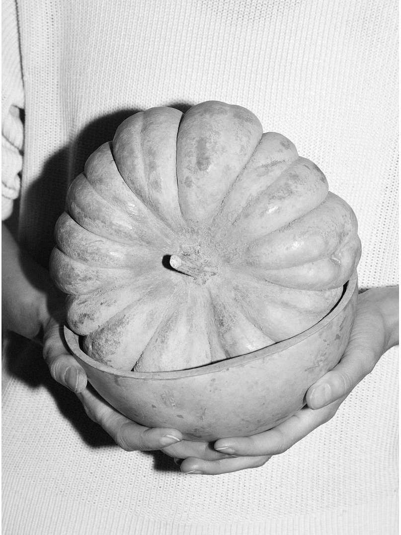 The Plant |  Mar. 21