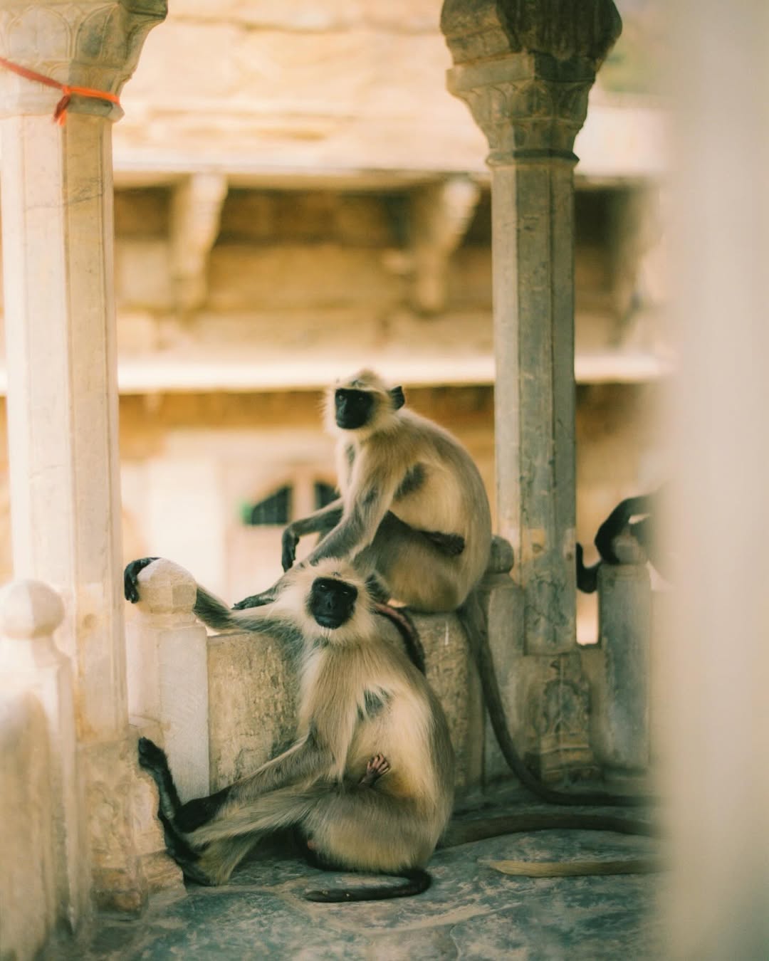 Maureen M. Evans X Voyage Voyage