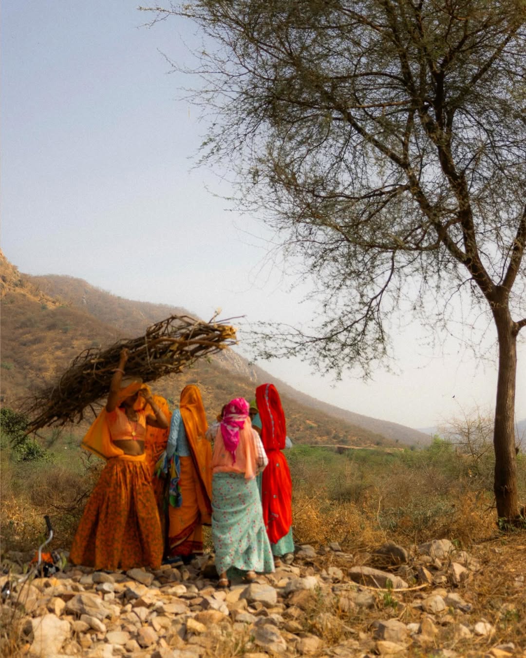 Maureen M. Evans X Voyage Voyage